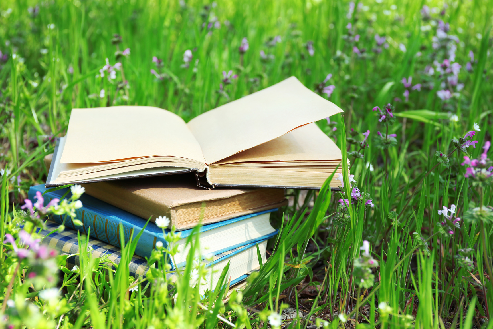 A stack of books resting in a sunlit meadow of wildflowers